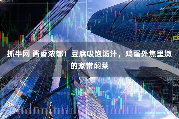 抓牛网 酱香浓郁！豆腐吸饱汤汁，鸡蛋外焦里嫩的家常焖菜