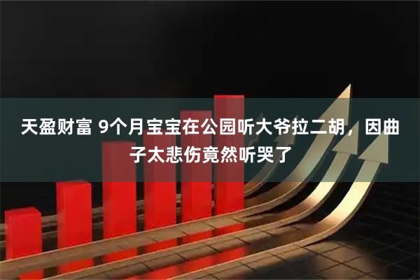 天盈财富 9个月宝宝在公园听大爷拉二胡，因曲子太悲伤竟然听哭了