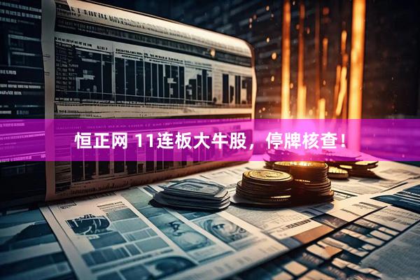 恒正网 11连板大牛股，停牌核查！