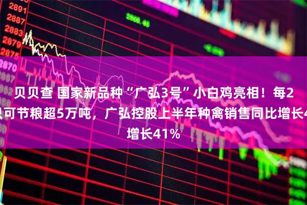 贝贝查 国家新品种“广弘3号”小白鸡亮相！每2亿只可节粮超5万吨，广弘控股上半年种禽销售同比增长41%
