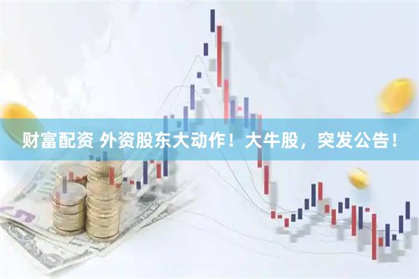 财富配资 外资股东大动作！大牛股，突发公告！