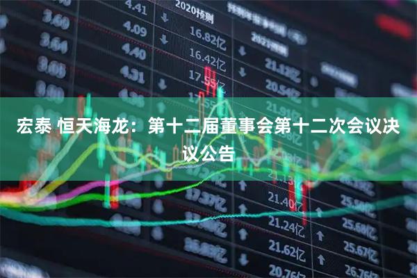 宏泰 恒天海龙：第十二届董事会第十二次会议决议公告