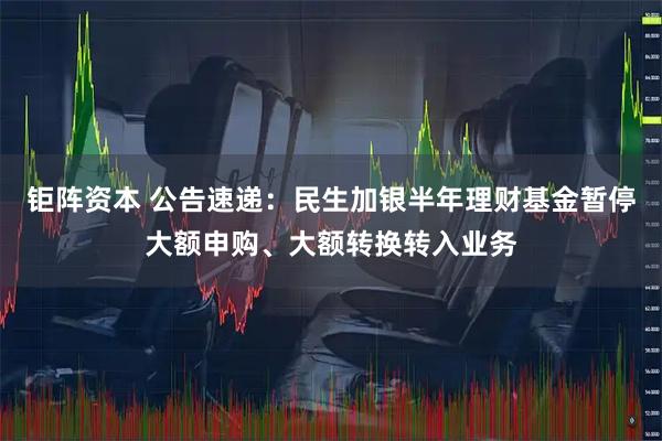 钜阵资本 公告速递：民生加银半年理财基金暂停大额申购、大额转换转入业务