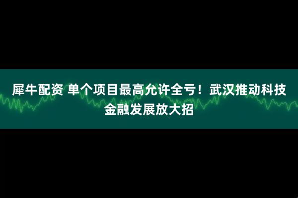 犀牛配资 单个项目最高允许全亏！武汉推动科技金融发展放大招